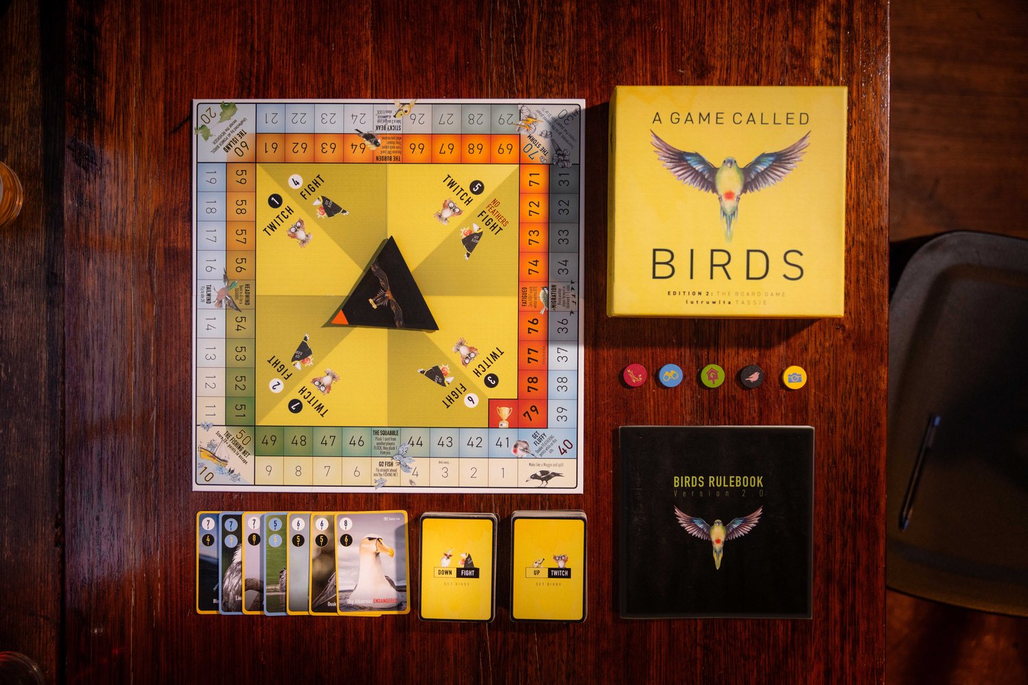 BIRDS - A Game Called Birds