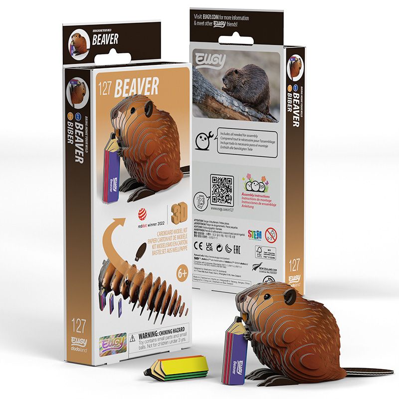 Beaver- EUGY2