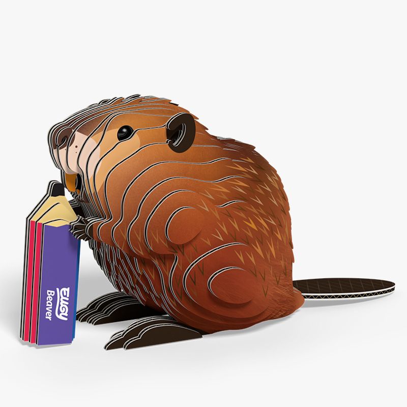 Beaver- EUGY2