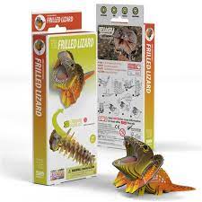 Frilled Lizard - EUGY2