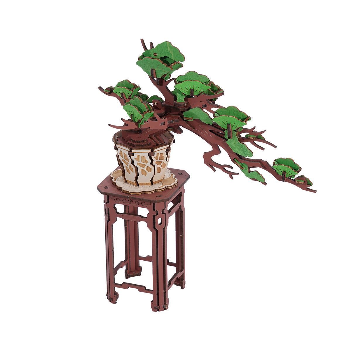 Evergreen Pine Bonsai - Wooden Kit