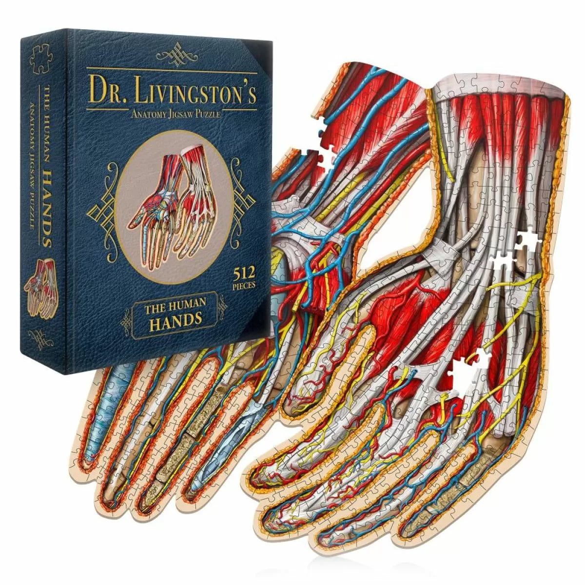 The Human Hands 512pc - Dr Livingston Anatomy Jigsaw puzzle