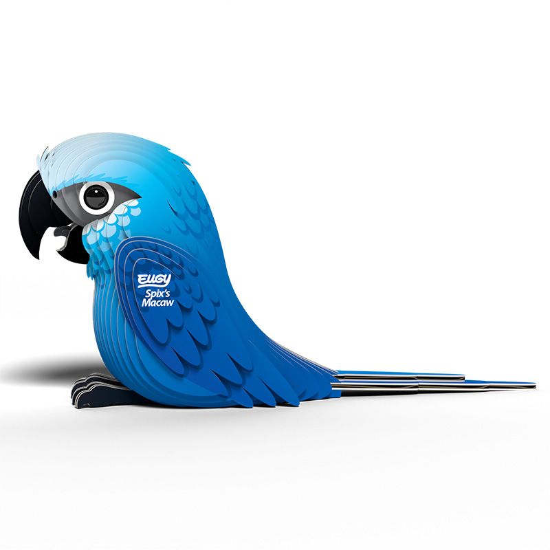 Spixs Macaw - EUGY2