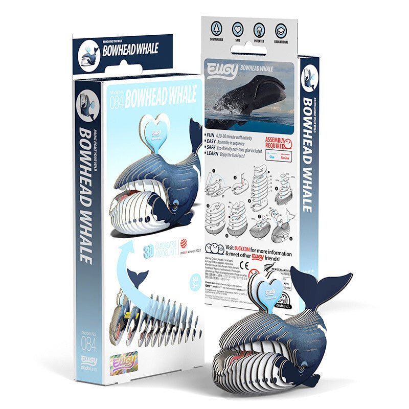 Bowhead Whale - EUGY2