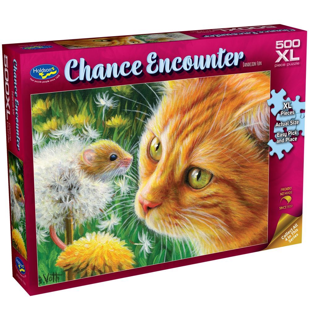 Dandelion Fun 500 XL - Chance Encounter