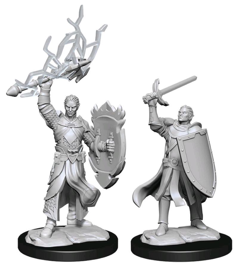 Half-Elf Male Paladin - D&D Nolzurs Marvelous Unpainted Miniatures