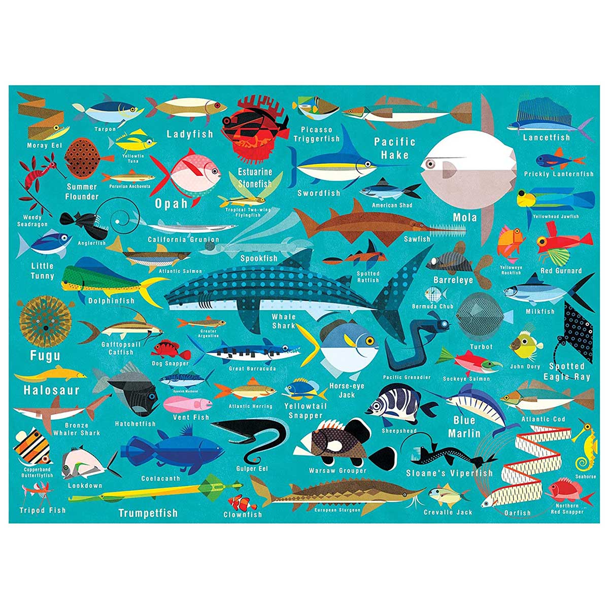 Ocean Life1000pc