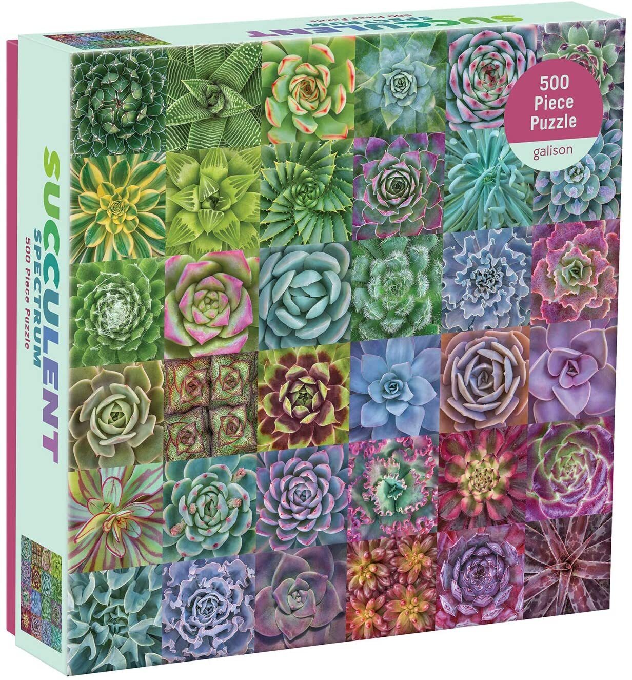 Succulent Spectrum 500pc