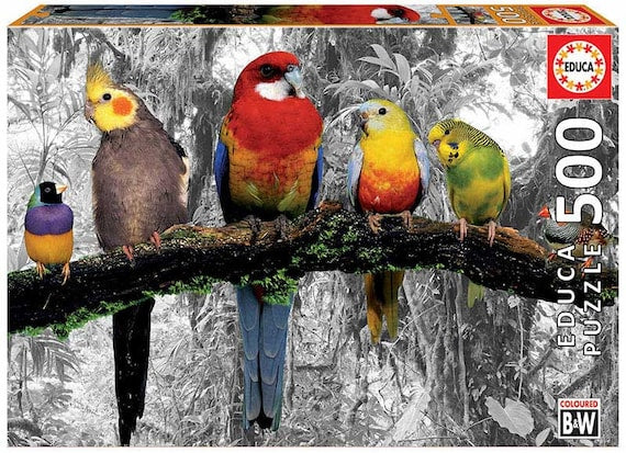 Birds On The Jungle 500Pc Educa