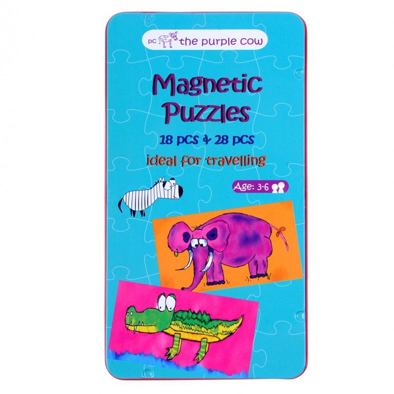 Magnetic Puzzles