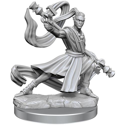 Elf Monk Male - D&D Frameworks