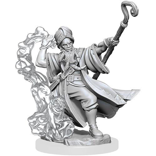 Human Wizard Male D&D Frameworks